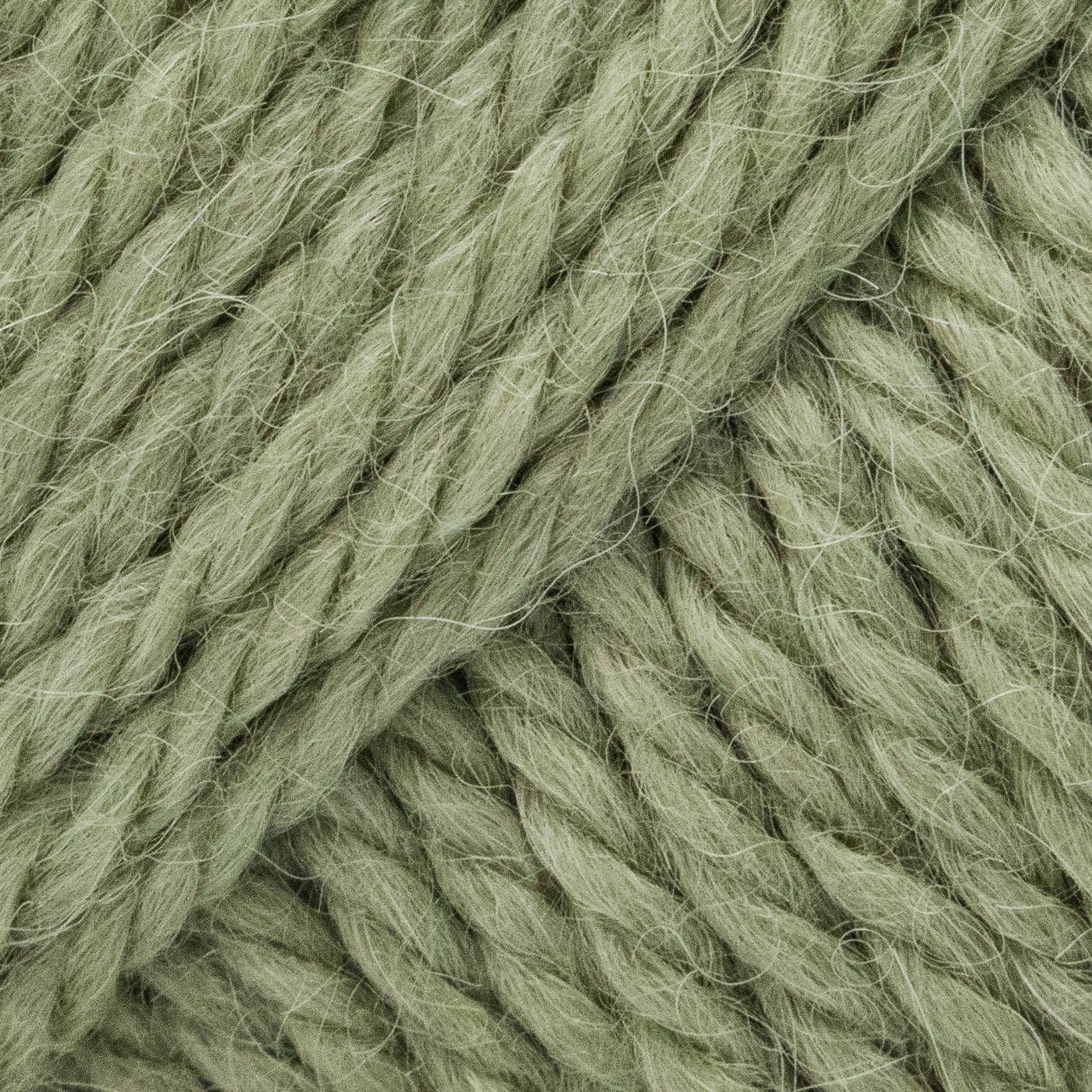 Luca-S ALPINO - Olive