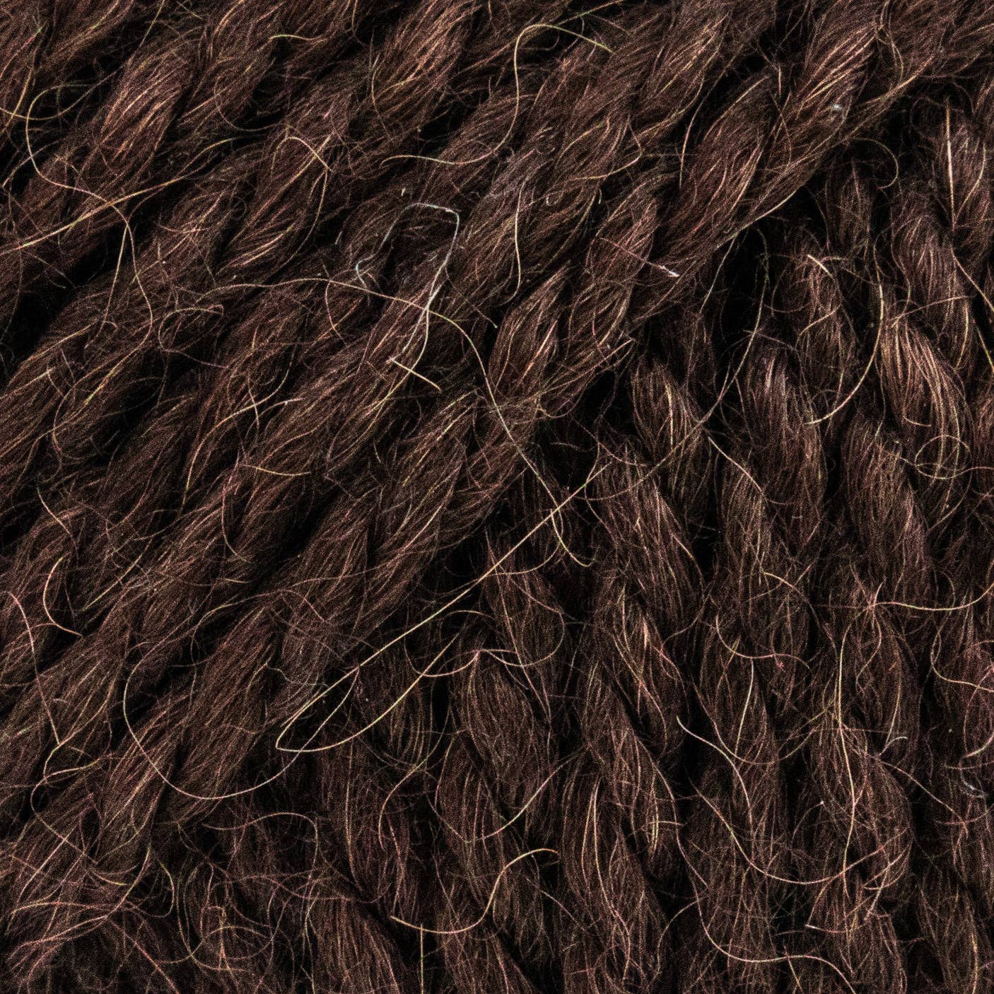 Luca-S ALPINO - Bear Brown