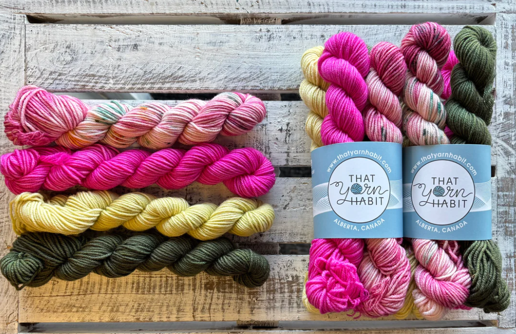 TYH Mini Skein Set - February Gnomes