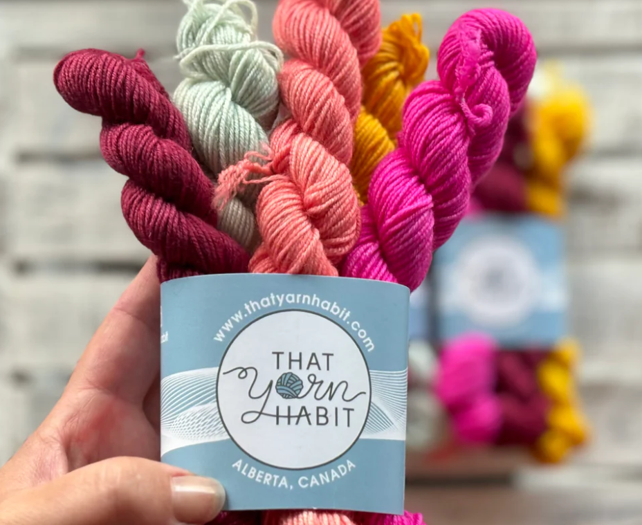 TYH Mini Skein Set - Front Porch View