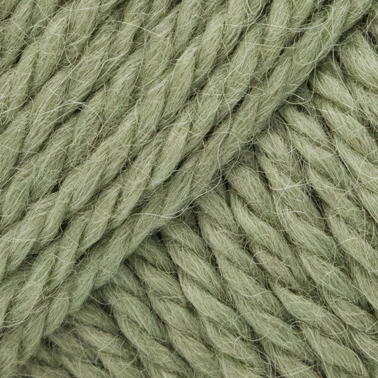 Luca-S ALPINO - Olive