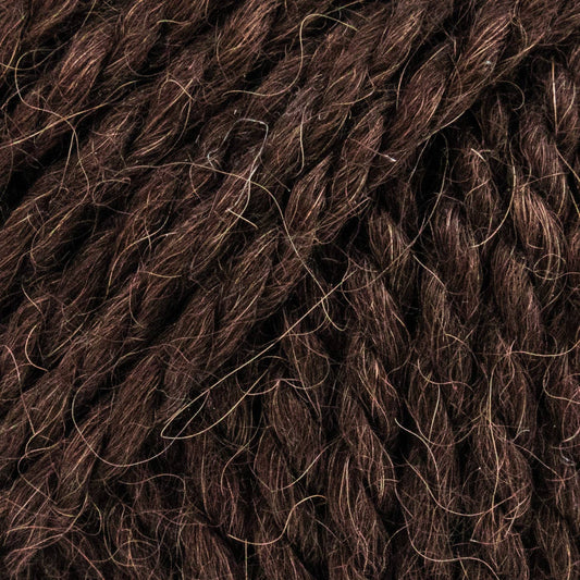 Luca-S ALPINO - Bear Brown