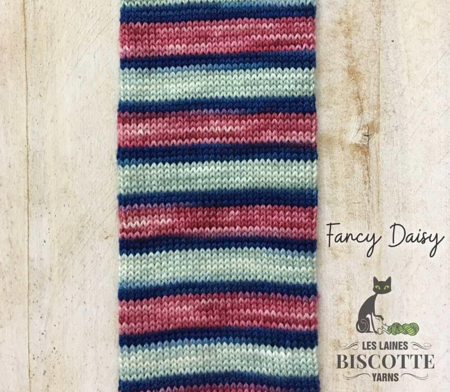 Bisotte Fancy Daisy