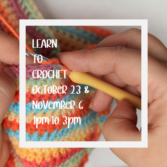 DAYTIME Learn to Crochet -  October 23 & November 6  1pm to 3pm