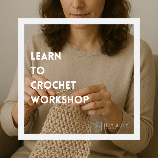 EVENING Learn to Crochet -  November 11 and 25 - 6pm to 8pm